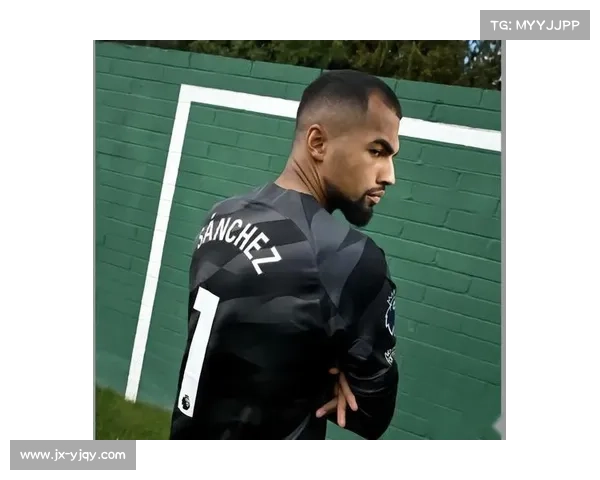 桑切斯职业生涯效力过的主要球队及其表现回顾