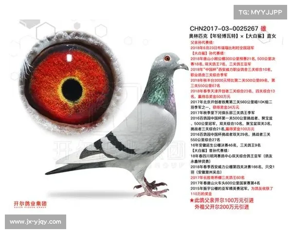 如何查询欧协联历届冠军数据及其详细记录分析方法